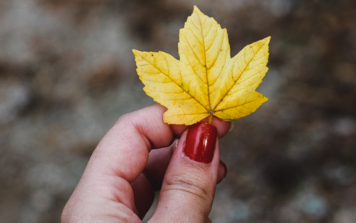 Best Fall Press On Nails - BTArtbox