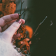 Fall Gel Nails That Survive Busy Holiday Weeks - BTArtbox Nails