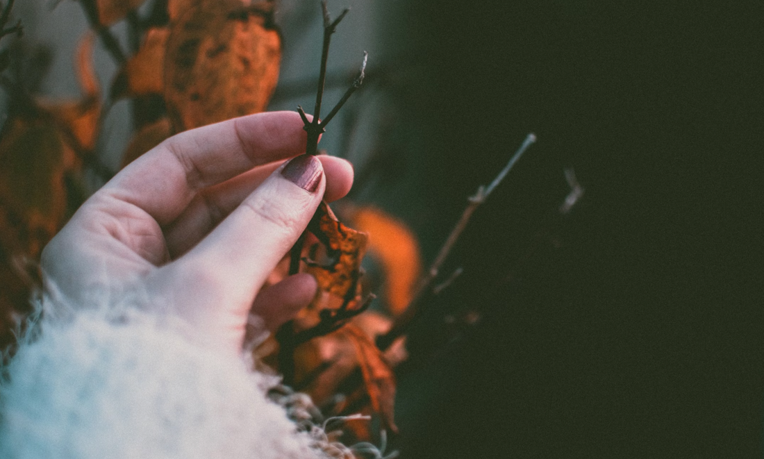 Fall Gel Nails That Survive Busy Holiday Weeks - BTArtbox Nails
