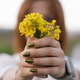 Fall Cat Eye Nails: Easy Magnetic Effects at Home - BTArtbox Nails