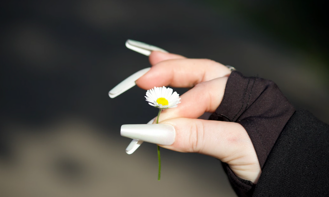 Best Coffin Classy Fall Nails - BTArtbox Nails